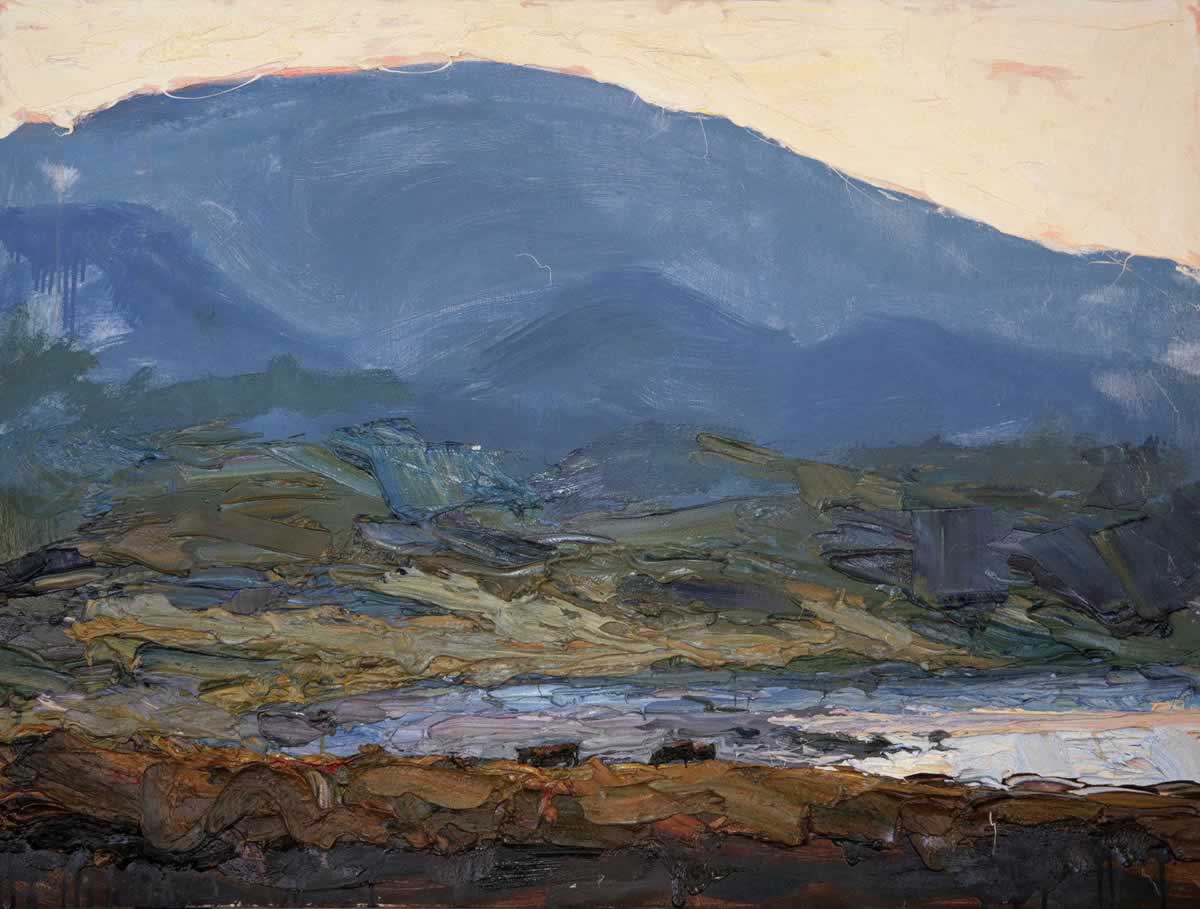Cows,  Staffin Bay, Skye