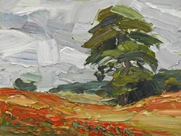 Poppy Fields, Calmsden  30.5 x 40.5cm