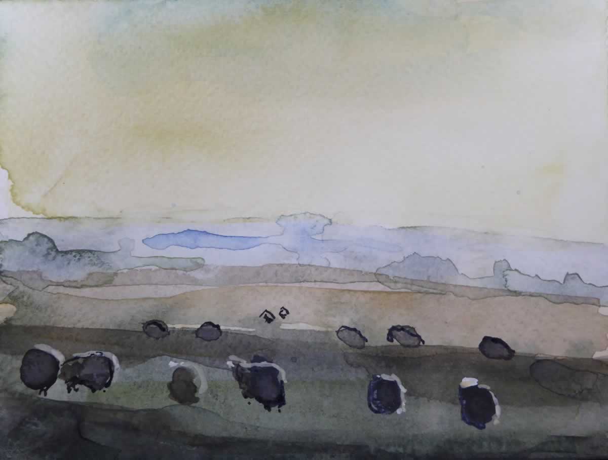 Sheep at Dusk